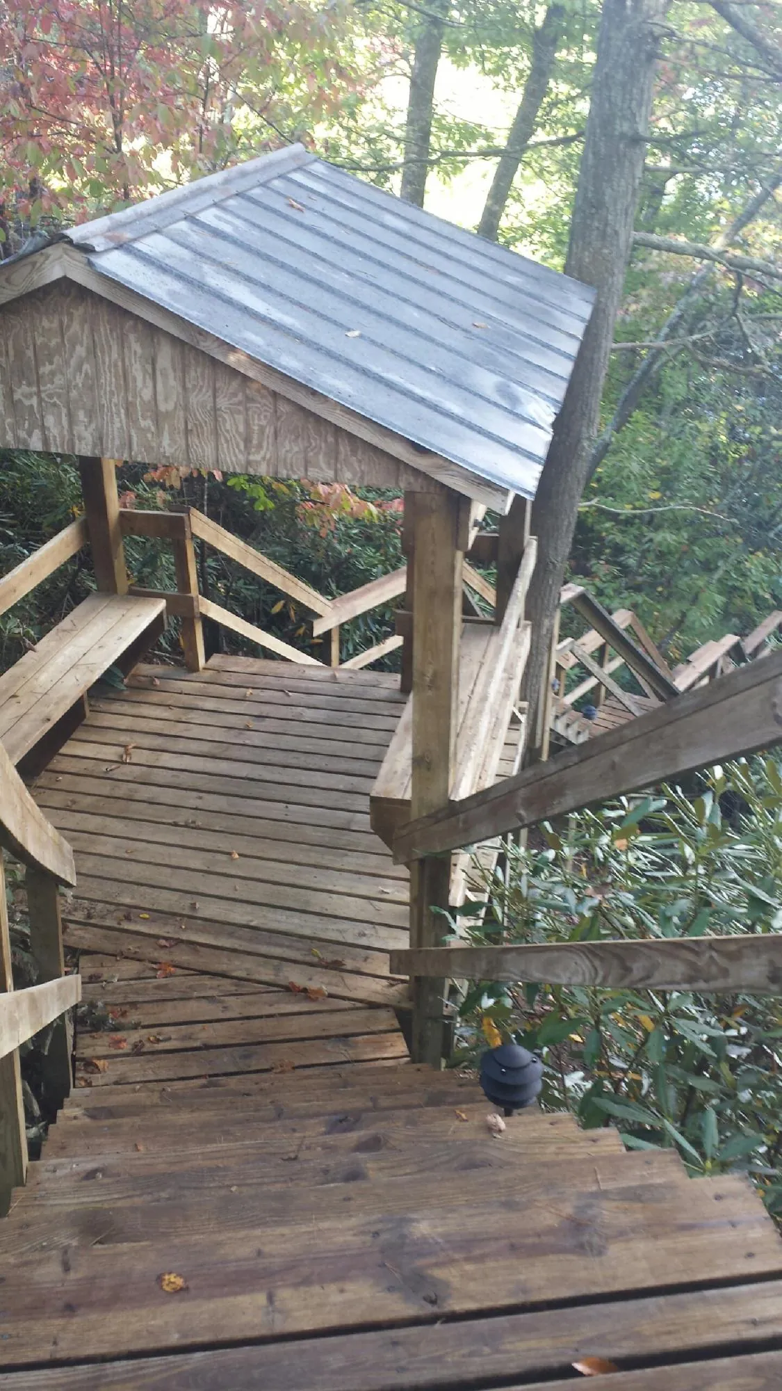 Metal roofed shelter over wooden steps on a wooded walkway — Skylight Repair & Installation work by our crew in Bird In Hand
